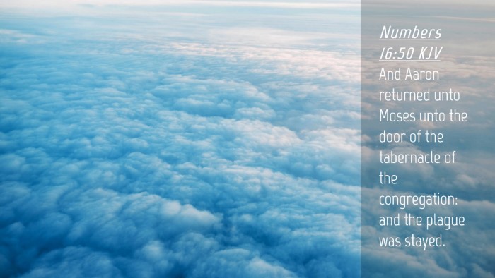 Picture 04 - Numbers 16:50 KJV Desktop Wallpaper - And Aaron returned unto Moses unto the door of - Desktop Bible Verse Wallpaper