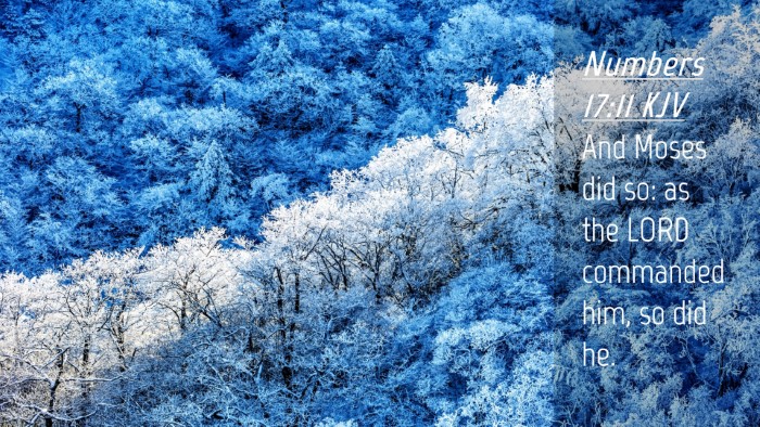 Picture 04 - Numbers 17:11 KJV Desktop Wallpaper - And Moses did so: as the LORD commanded him, so - Desktop Bible Verse Wallpaper