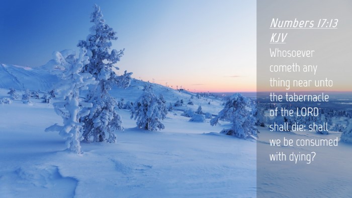 Picture 04 - Numbers 17:13 KJV Desktop Wallpaper - Whosoever cometh any thing near unto the - Desktop Bible Verse Wallpaper