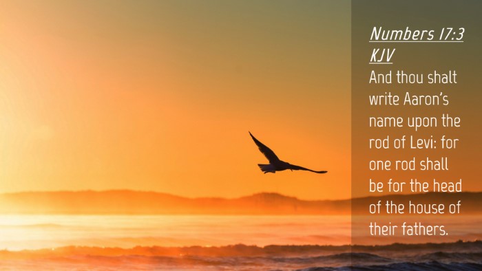 Picture 04 - Numbers 17:3 KJV Desktop Wallpaper - And thou shalt write Aaron's name upon the rod of - Desktop Bible Verse Wallpaper