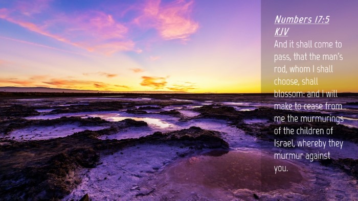 Picture 04 - Numbers 17:5 KJV Desktop Wallpaper - And it shall come to pass, that the man's rod, - Desktop Bible Verse Wallpaper