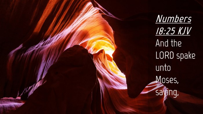 Picture 04 - Numbers 18:25 KJV Desktop Wallpaper - And the LORD spake unto Moses, - Desktop Bible Verse Wallpaper