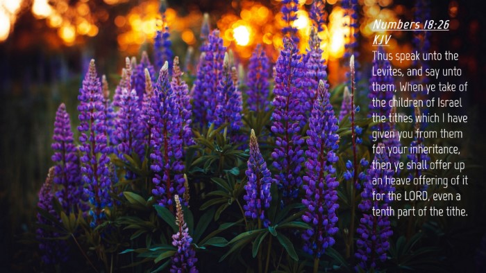 Picture 04 - Numbers 18:26 KJV Desktop Wallpaper - Thus speak unto the Levites, and say unto them, - Desktop Bible Verse Wallpaper