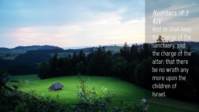 Picture 04 - Numbers 18:5 KJV Desktop Wallpaper - And ye shall keep the charge of the sanctuary, - Desktop Bible Verse Wallpaper