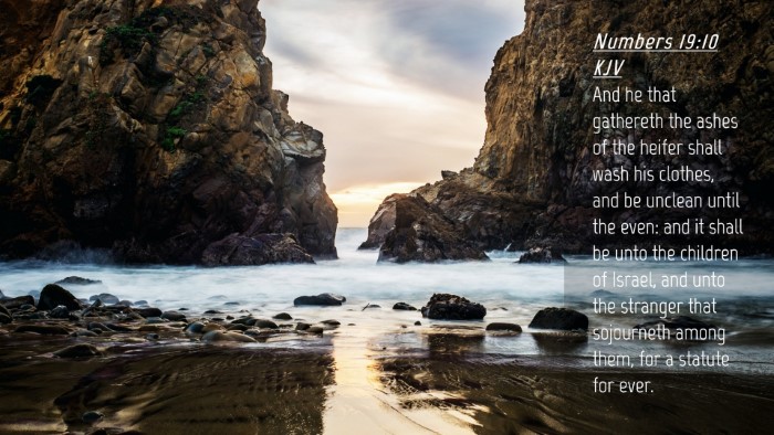 Picture 04 - Numbers 19:10 KJV Desktop Wallpaper - And he that gathereth the ashes of the heifer - Desktop Bible Verse Wallpaper