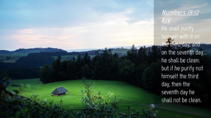 Picture 04 - Numbers 19:12 KJV Desktop Wallpaper - He shall purify himself with it on the third day, - Desktop Bible Verse Wallpaper