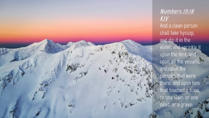 Picture 04 - Numbers 19:18 KJV Desktop Wallpaper - And a clean person shall take hyssop, and dip it - Desktop Bible Verse Wallpaper