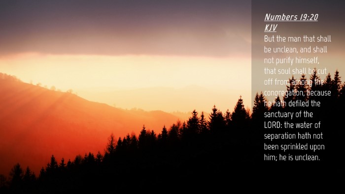 Picture 04 - Numbers 19:20 KJV Desktop Wallpaper - But the man that shall be unclean, and shall not - Desktop Bible Verse Wallpaper