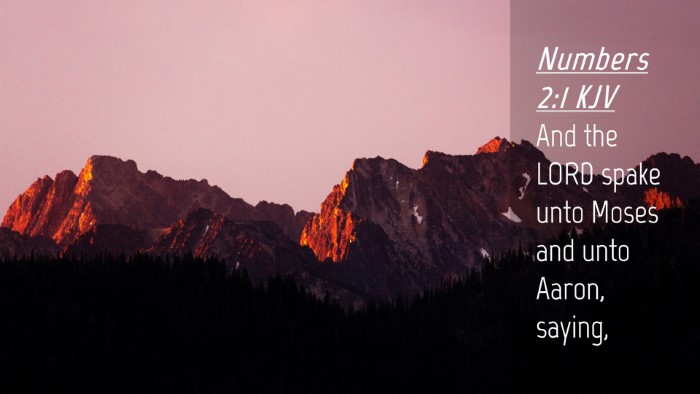 Picture 04 - Numbers 2:1 KJV Desktop Wallpaper - And the LORD spake unto Moses and unto Aaron, - Desktop Bible Verse Wallpaper