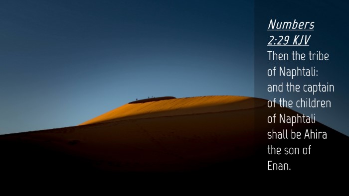 Picture 04 - Numbers 2:29 KJV Desktop Wallpaper - Then the tribe of Naphtali: and the captain of - Desktop Bible Verse Wallpaper