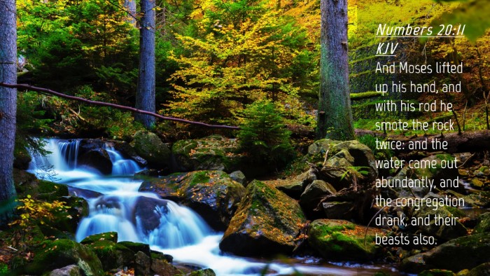 Picture 04 - Numbers 20:11 KJV Desktop Wallpaper - And Moses lifted up his hand, and with his rod he - Desktop Bible Verse Wallpaper