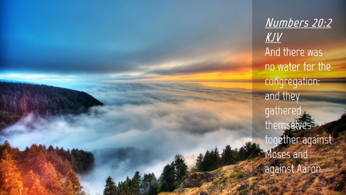 Picture 04 - Numbers 20:2 KJV Desktop Wallpaper - And there was no water for the congregation: and - Desktop Bible Verse Wallpaper