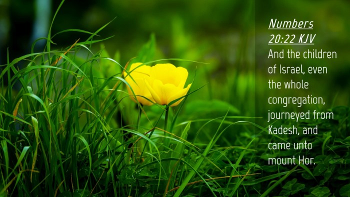 Picture 04 - Numbers 20:22 KJV Desktop Wallpaper - And the children of Israel, even the whole - Desktop Bible Verse Wallpaper