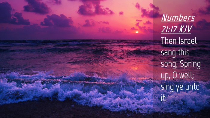 Picture 04 - Numbers 21:17 KJV Desktop Wallpaper - Then Israel sang this song, Spring up, O well; - Desktop Bible Verse Wallpaper