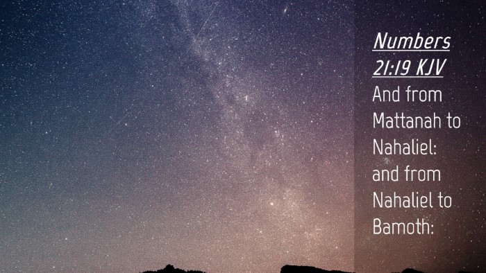 Picture 04 - Numbers 21:19 KJV Desktop Wallpaper - And from Mattanah to Nahaliel: and from Nahaliel - Desktop Bible Verse Wallpaper