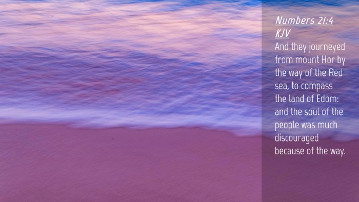 Picture 04 - Numbers 21:4 KJV Desktop Wallpaper - And they journeyed from mount Hor by the way of - Desktop Bible Verse Wallpaper