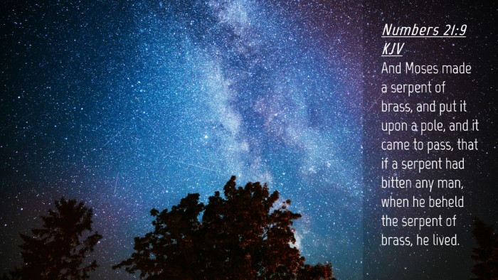 Picture 04 - Numbers 21:9 KJV Desktop Wallpaper - And Moses made a serpent of brass, and put it - Desktop Bible Verse Wallpaper