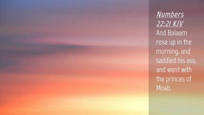 Picture 04 - Numbers 22:21 KJV Desktop Wallpaper - And Balaam rose up in the morning, and saddled - Desktop Bible Verse Wallpaper