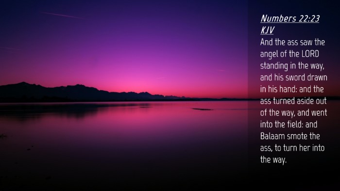 Picture 04 - Numbers 22:23 KJV Desktop Wallpaper - And the ass saw the angel of the LORD standing in - Desktop Bible Verse Wallpaper