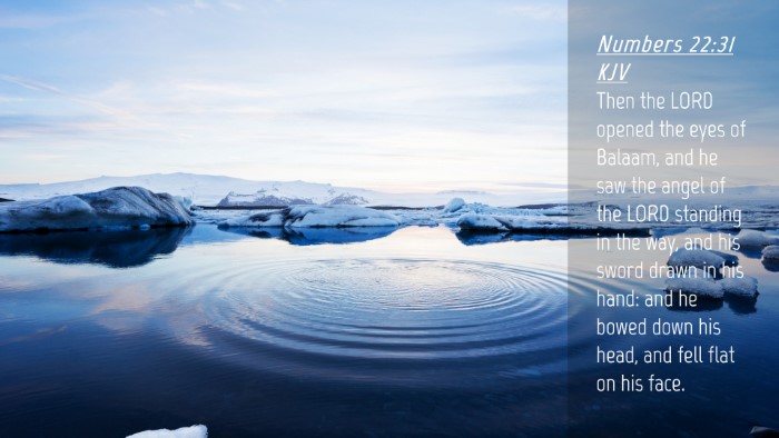 Picture 04 - Numbers 22:31 KJV Desktop Wallpaper - Then the LORD opened the eyes of Balaam, and he - Desktop Bible Verse Wallpaper
