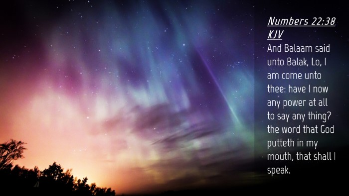 Picture 04 - Numbers 22:38 KJV Desktop Wallpaper - And Balaam said unto Balak, Lo, I am come unto - Desktop Bible Verse Wallpaper
