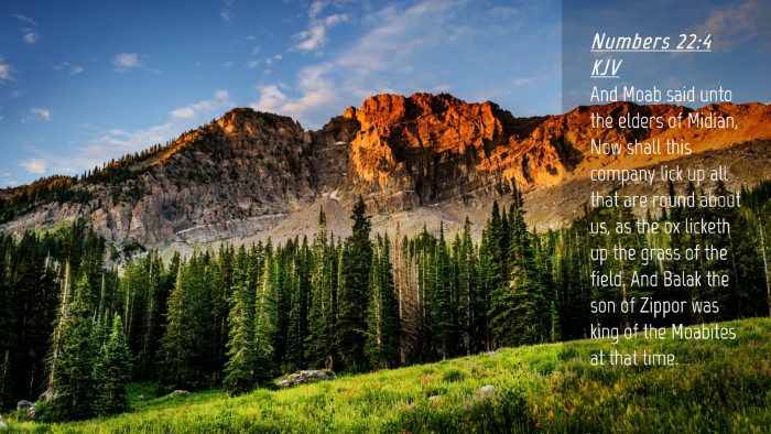 Picture 04 - Numbers 22:4 KJV Desktop Wallpaper - And Moab said unto the elders of Midian, Now - Desktop Bible Verse Wallpaper