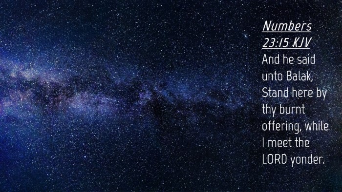 Picture 04 - Numbers 23:15 KJV Desktop Wallpaper - And he said unto Balak, Stand here by thy burnt - Desktop Bible Verse Wallpaper