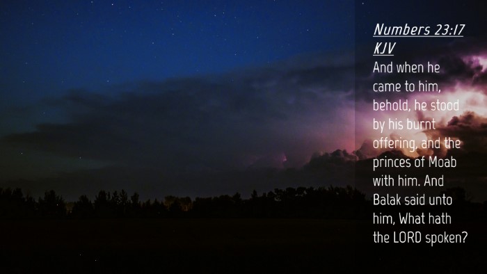 Picture 04 - Numbers 23:17 KJV Desktop Wallpaper - And when he came to him, behold, he stood by his - Desktop Bible Verse Wallpaper