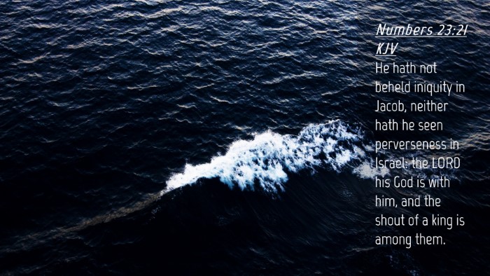 Picture 04 - Numbers 23:21 KJV Desktop Wallpaper - He hath not beheld iniquity in Jacob, neither - Desktop Bible Verse Wallpaper