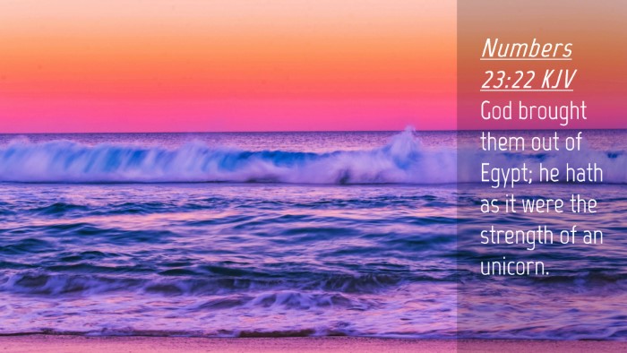 Picture 04 - Numbers 23:22 KJV Desktop Wallpaper - God brought them out of Egypt; he hath as it were - Desktop Bible Verse Wallpaper