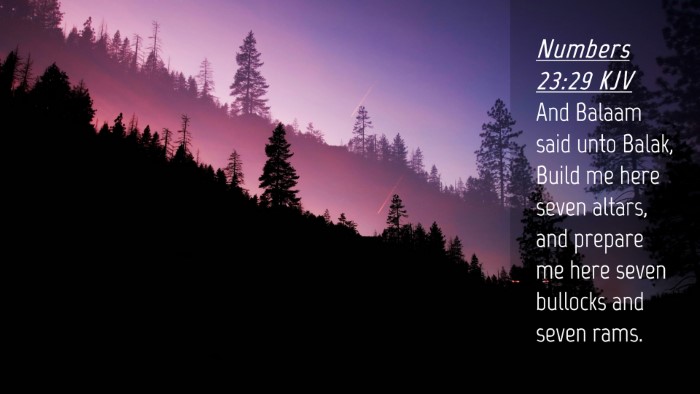 Picture 04 - Numbers 23:29 KJV Desktop Wallpaper - And Balaam said unto Balak, Build me here seven - Desktop Bible Verse Wallpaper