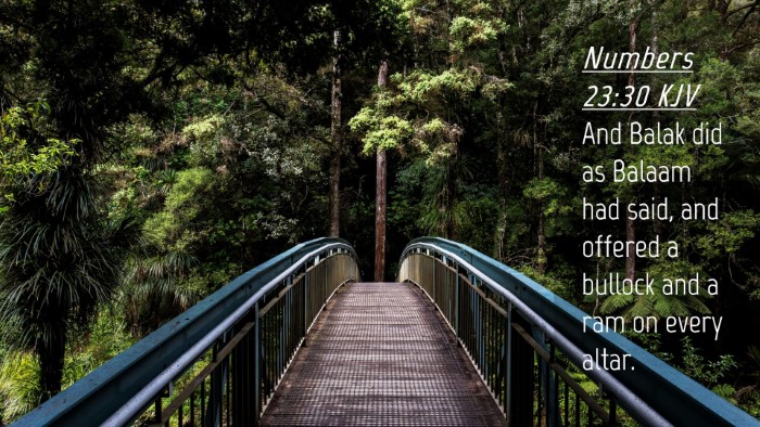 Picture 04 - Numbers 23:30 KJV Desktop Wallpaper - And Balak did as Balaam had said, and offered a - Desktop Bible Verse Wallpaper