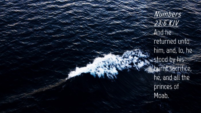 Picture 04 - Numbers 23:6 KJV Desktop Wallpaper - And he returned unto him, and, lo, he stood by - Desktop Bible Verse Wallpaper
