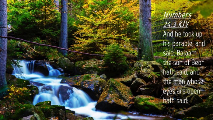 Picture 04 - Numbers 24:3 KJV Desktop Wallpaper - And he took up his parable, and said, Balaam the - Desktop Bible Verse Wallpaper