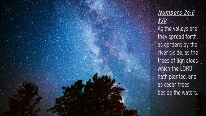 Picture 04 - Numbers 24:6 KJV Desktop Wallpaper - As the valleys are they spread forth, as gardens - Desktop Bible Verse Wallpaper