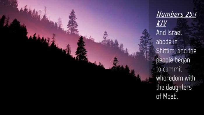 Picture 04 - Numbers 25:1 KJV Desktop Wallpaper - And Israel abode in Shittim, and the people began - Desktop Bible Verse Wallpaper