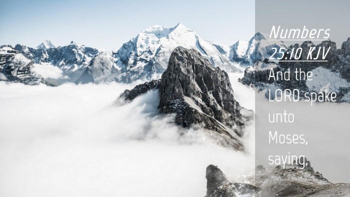 Picture 04 - Numbers 25:10 KJV Desktop Wallpaper - And the LORD spake unto Moses, - Desktop Bible Verse Wallpaper