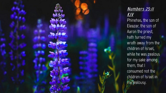 Picture 04 - Numbers 25:11 KJV Desktop Wallpaper - Phinehas, the son of Eleazar, the son of Aaron - Desktop Bible Verse Wallpaper