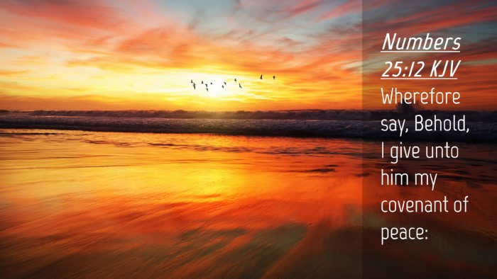 Picture 04 - Numbers 25:12 KJV Desktop Wallpaper - Wherefore say, Behold, I give unto him my - Desktop Bible Verse Wallpaper