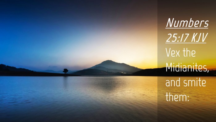 Picture 04 - Numbers 25:17 KJV Desktop Wallpaper - Vex the Midianites, and smite - Desktop Bible Verse Wallpaper