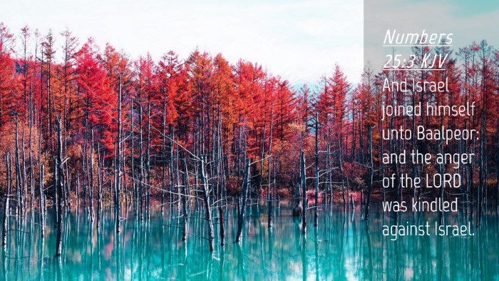 Picture 04 - Numbers 25:3 KJV Desktop Wallpaper - And Israel joined himself unto Baalpeor: and the - Desktop Bible Verse Wallpaper