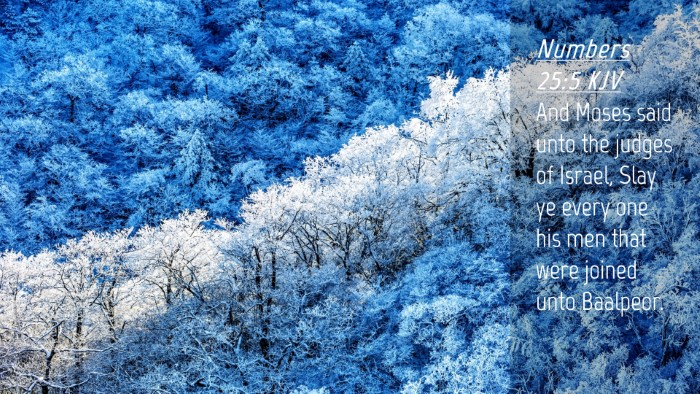 Picture 04 - Numbers 25:5 KJV Desktop Wallpaper - And Moses said unto the judges of Israel, Slay ye - Desktop Bible Verse Wallpaper