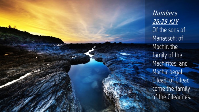 Picture 04 - Numbers 26:29 KJV Desktop Wallpaper - Of the sons of Manasseh: of Machir, the family of - Desktop Bible Verse Wallpaper