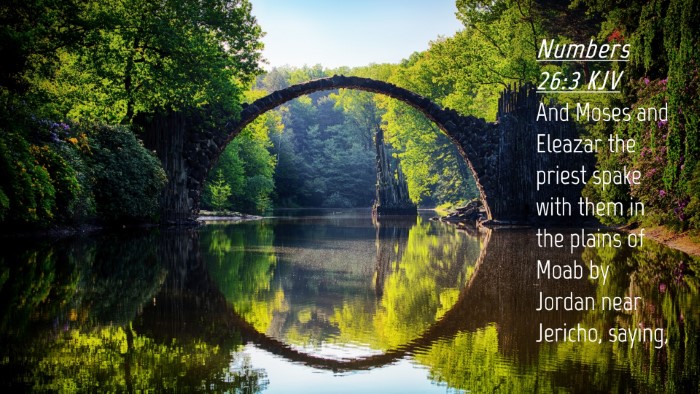 Picture 04 - Numbers 26:3 KJV Desktop Wallpaper - And Moses and Eleazar the priest spake with them - Desktop Bible Verse Wallpaper