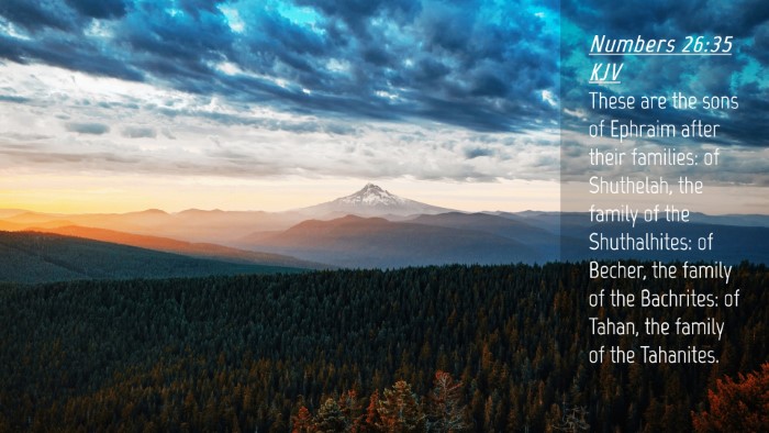 Picture 04 - Numbers 26:35 KJV Desktop Wallpaper - These are the sons of Ephraim after their - Desktop Bible Verse Wallpaper