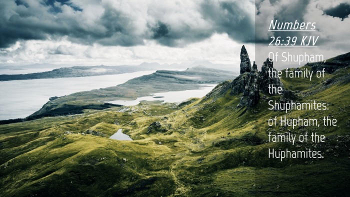 Picture 04 - Numbers 26:39 KJV Desktop Wallpaper - Of Shupham, the family of the Shuphamites: of - Desktop Bible Verse Wallpaper