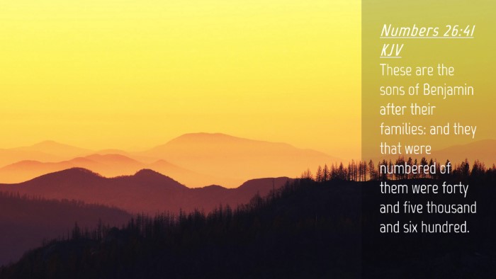Picture 04 - Numbers 26:41 KJV Desktop Wallpaper - These are the sons of Benjamin after their - Desktop Bible Verse Wallpaper