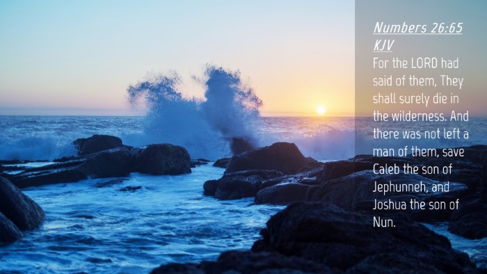 Picture 04 - Numbers 26:65 KJV Desktop Wallpaper - For the LORD had said of them, They shall surely - Desktop Bible Verse Wallpaper