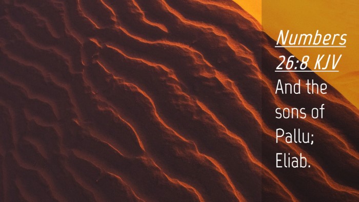 Picture 04 - Numbers 26:8 KJV Desktop Wallpaper - And the sons of Pallu; - Desktop Bible Verse Wallpaper