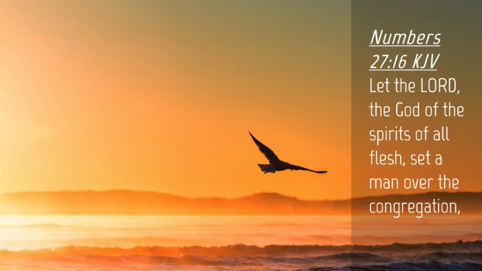 Picture 04 - Numbers 27:16 KJV Desktop Wallpaper - Let the LORD, the God of the spirits of all - Desktop Bible Verse Wallpaper